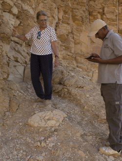 2017_IMG_0659ep_JRPA_C2_17-scaled