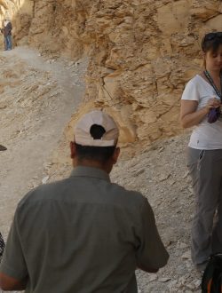 2017__E9A1868_BELCHI_C2_17-min-scaled