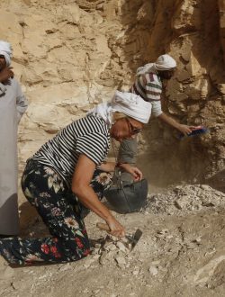 2017__E9A1956_BELCHI_C2_17-min-scaled